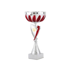 star line trophy 31cm